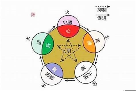 劉五行|刘的五行属性是什么